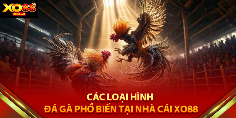 Các loại hình đá gà XO88 phổ biến 