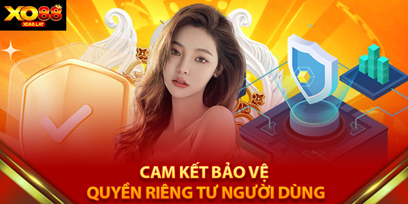 Cam Kết Bảo Vệ Quyền Riêng Tư Người Dùng