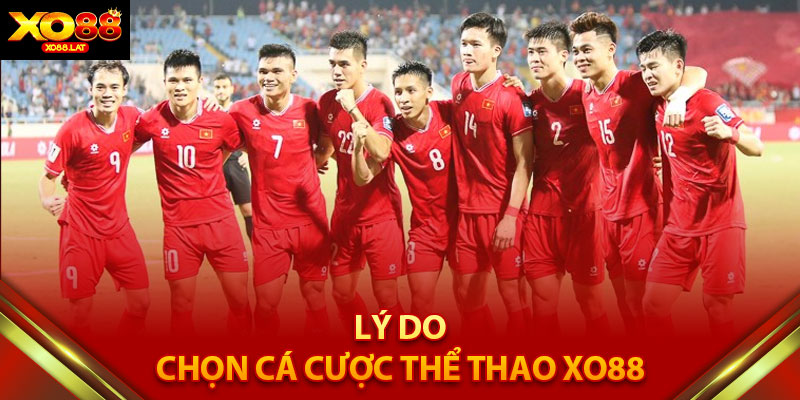 Lý do tại sao nhiều cược thủ chuyên nghiệp chọn cá cược thể thao XO88